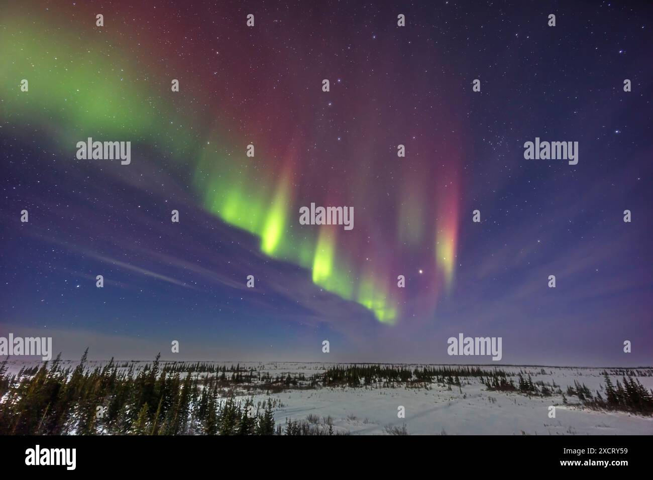 Un'aurora debole a livello KP1 con un accenno di archi paralleli doppi a nord-est visti in un cielo illuminato dalla luna, il 14 febbraio 2024, dagli studi del Churchill Northern Foto Stock