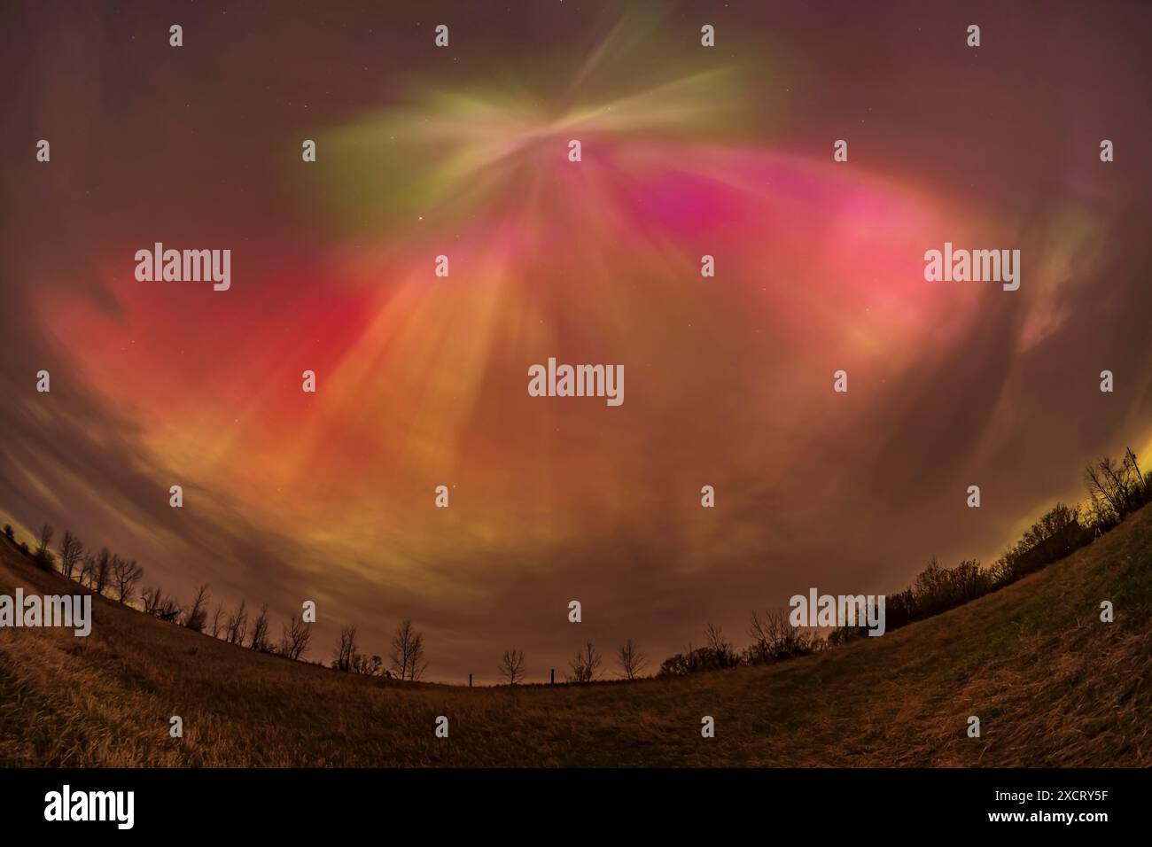 Il grande spettacolo dell'aurora del 10/11 maggio 2024 mostra raggi convergenti allo Zenit magnetico ed esibisce una varietà di colori, non solo il solito ossigeno Foto Stock