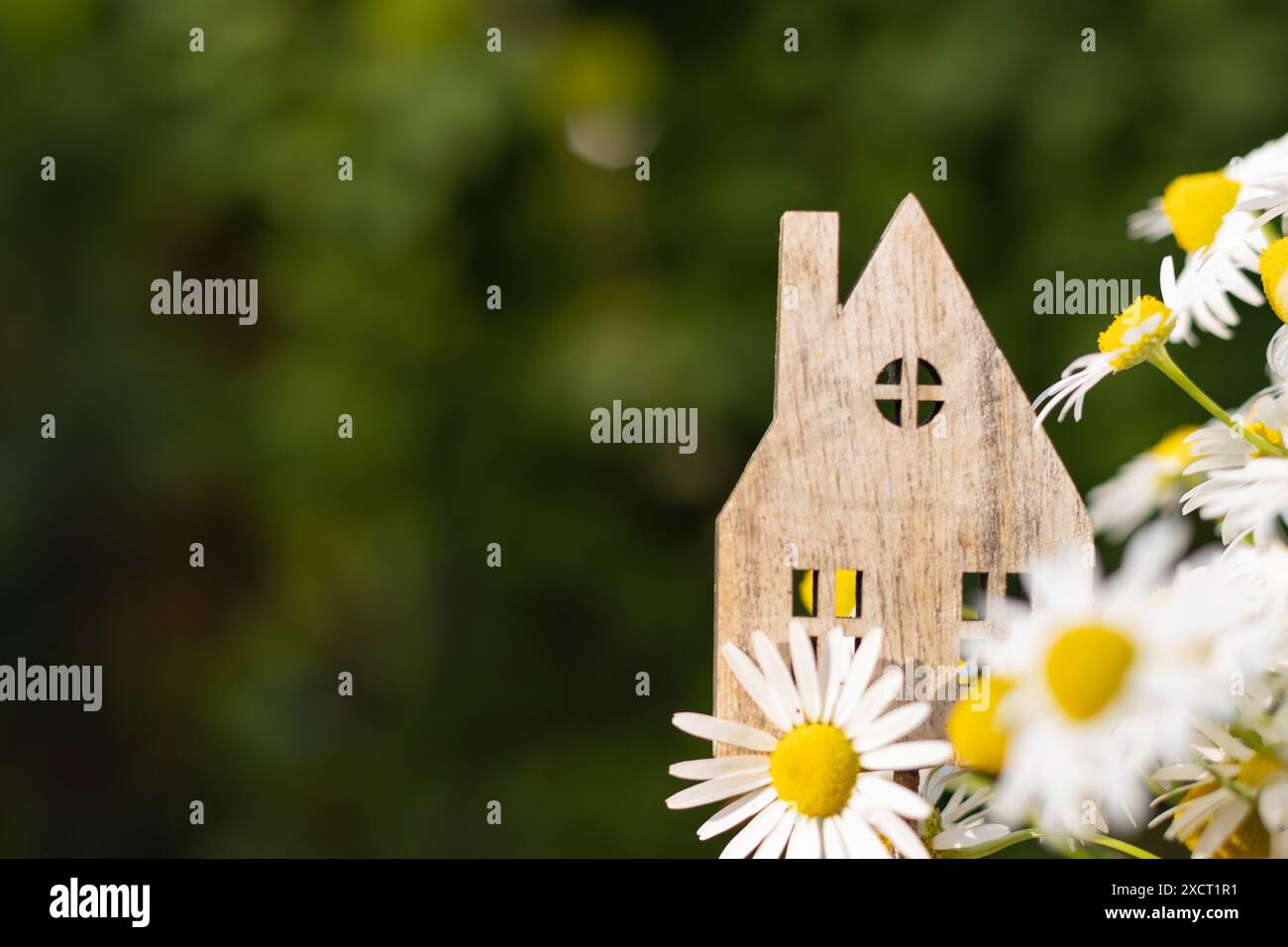 Eco House Concept con spazio copie Foto Stock