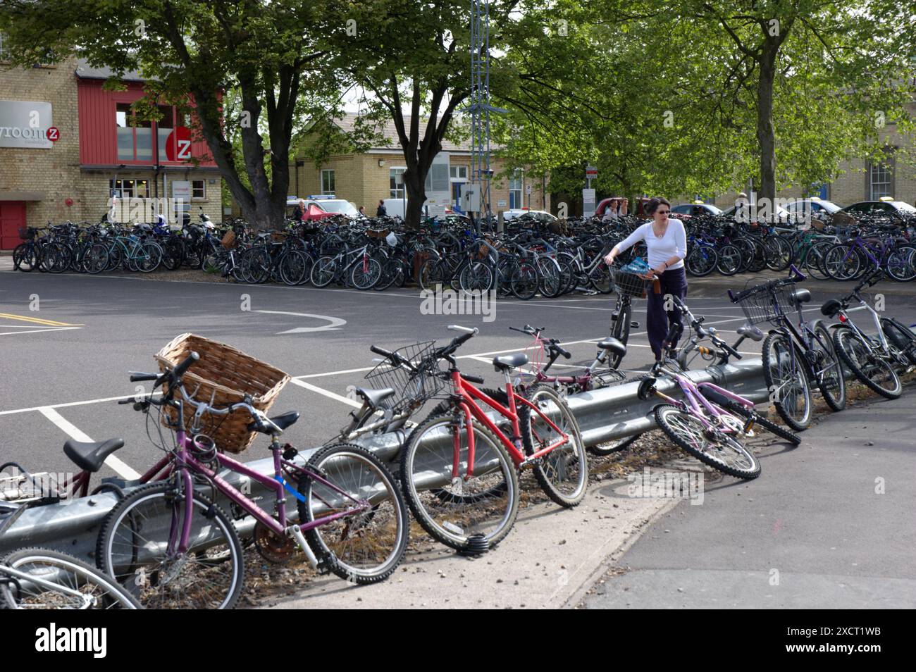 Foresta di biciclette parcheggiate a Cambridge stazione ferroviaria Foto Stock