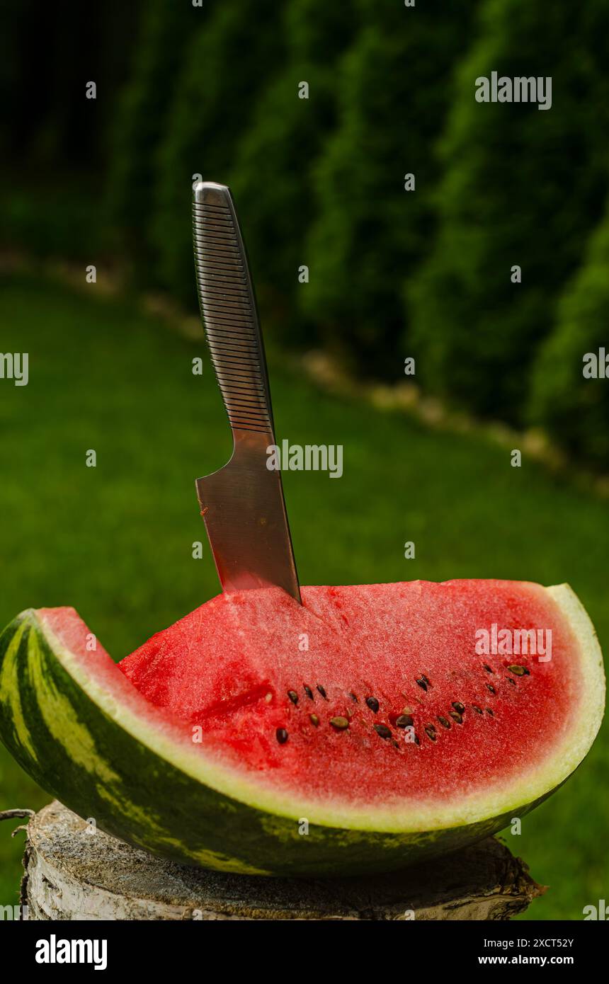 natura morta all'aperto con anguria e coltello sullo sfondo verde estivo. Foto di alta qualità Foto Stock