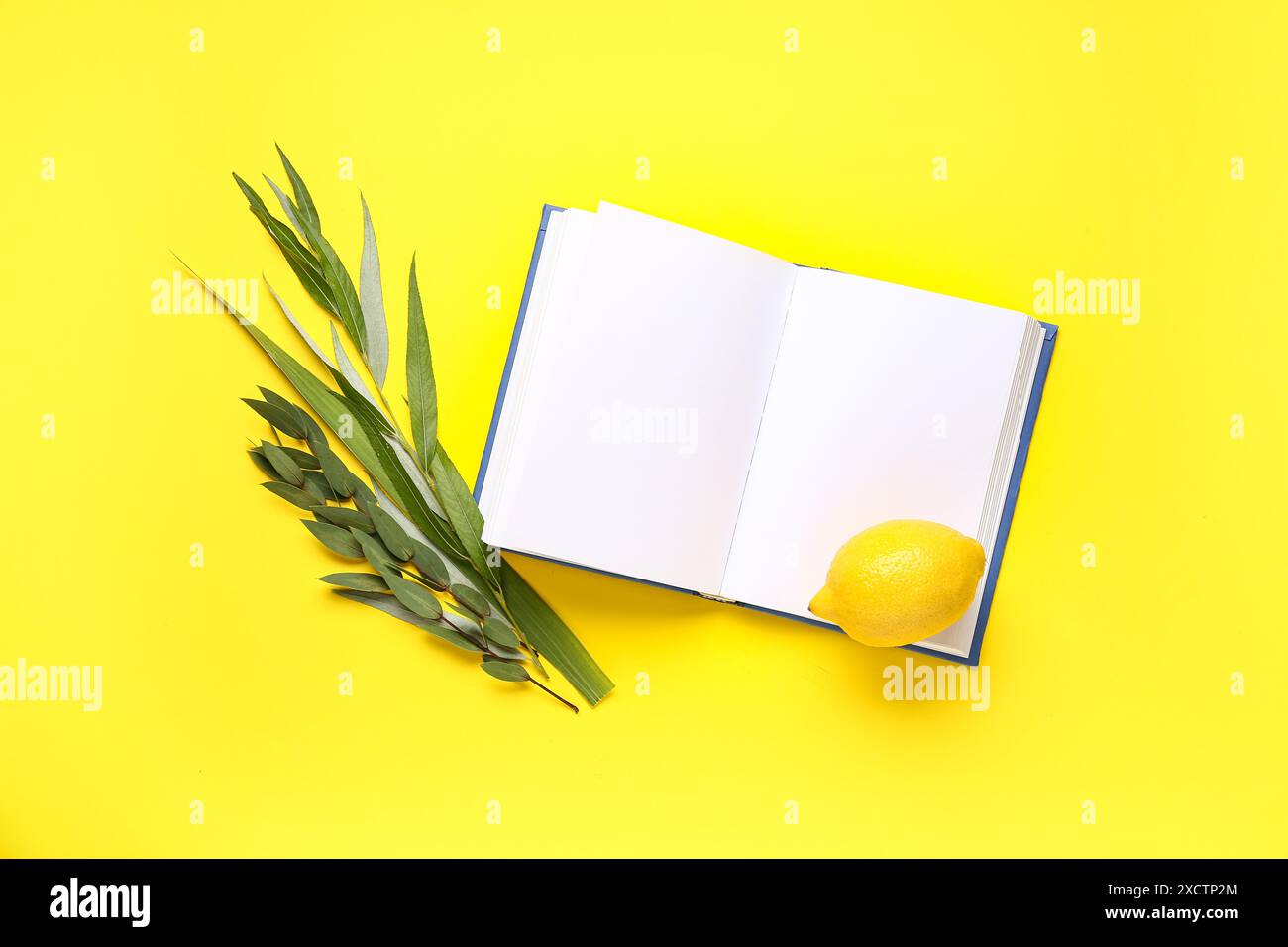 Quattro specie (lulav, hadas, arava, etrog) come simboli del festival Sukkot e libro aperto con pagine bianche su sfondo giallo Foto Stock