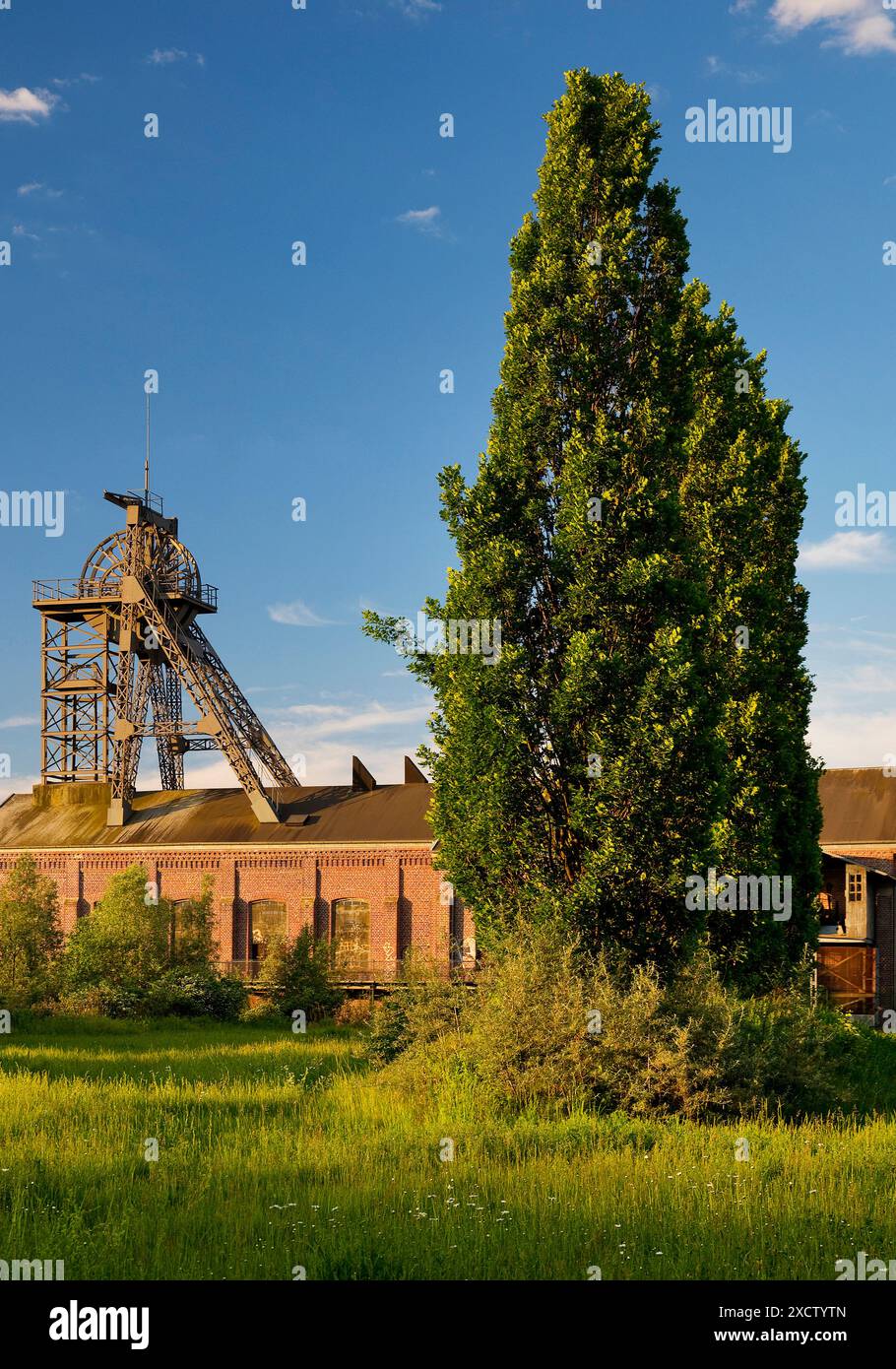 Parco Gneisenau con sala macchine e Tomson Bock Pithead, Germania, Renania settentrionale-Vestfalia, Ruhr area, Dortmund Foto Stock