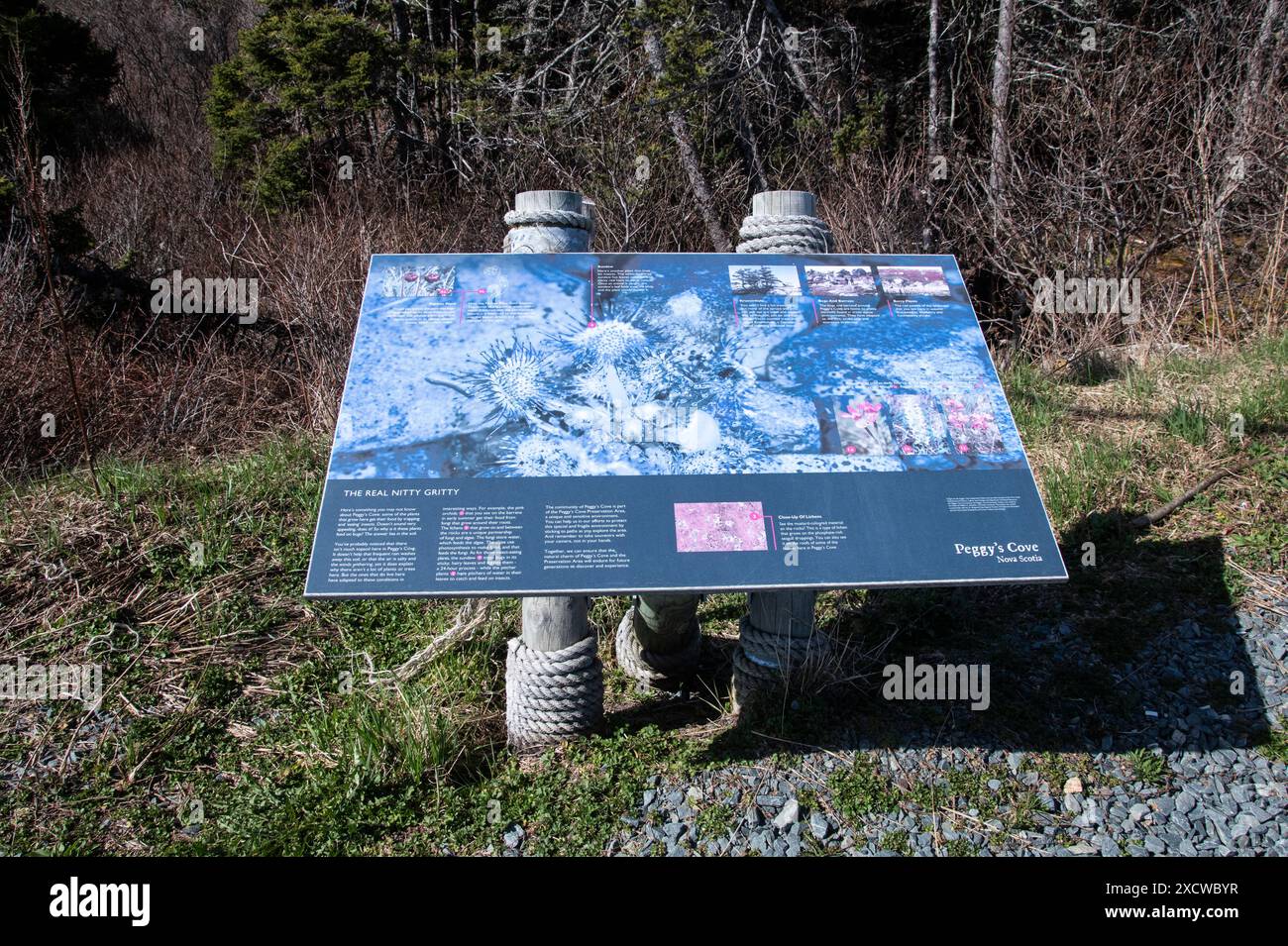 Insegna naturale Real Nitty Grity a Peggy's Cove, nuova Scozia, Canada Foto Stock