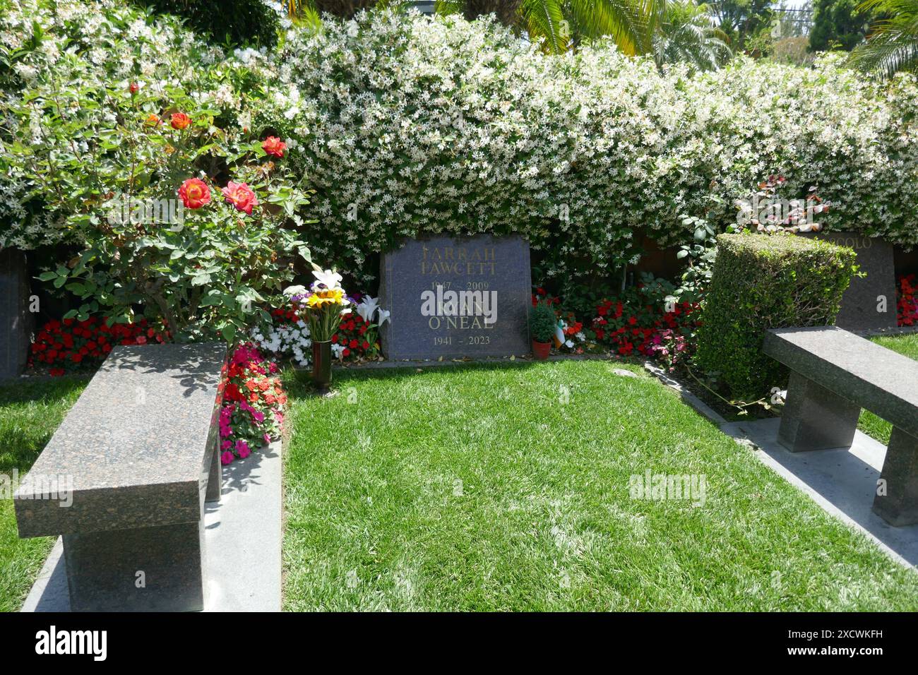 Los Angeles, California, USA 18 giugno 2024 l'attrice Farrah Fawcett e l'attore Ryan OÕNeal Graves al Pierce Brothers Westwood Village Memorial Park il 18 giugno 2024 a Los Angeles, California, USA. Foto di Barry King/Alamy Stock Photo Foto Stock