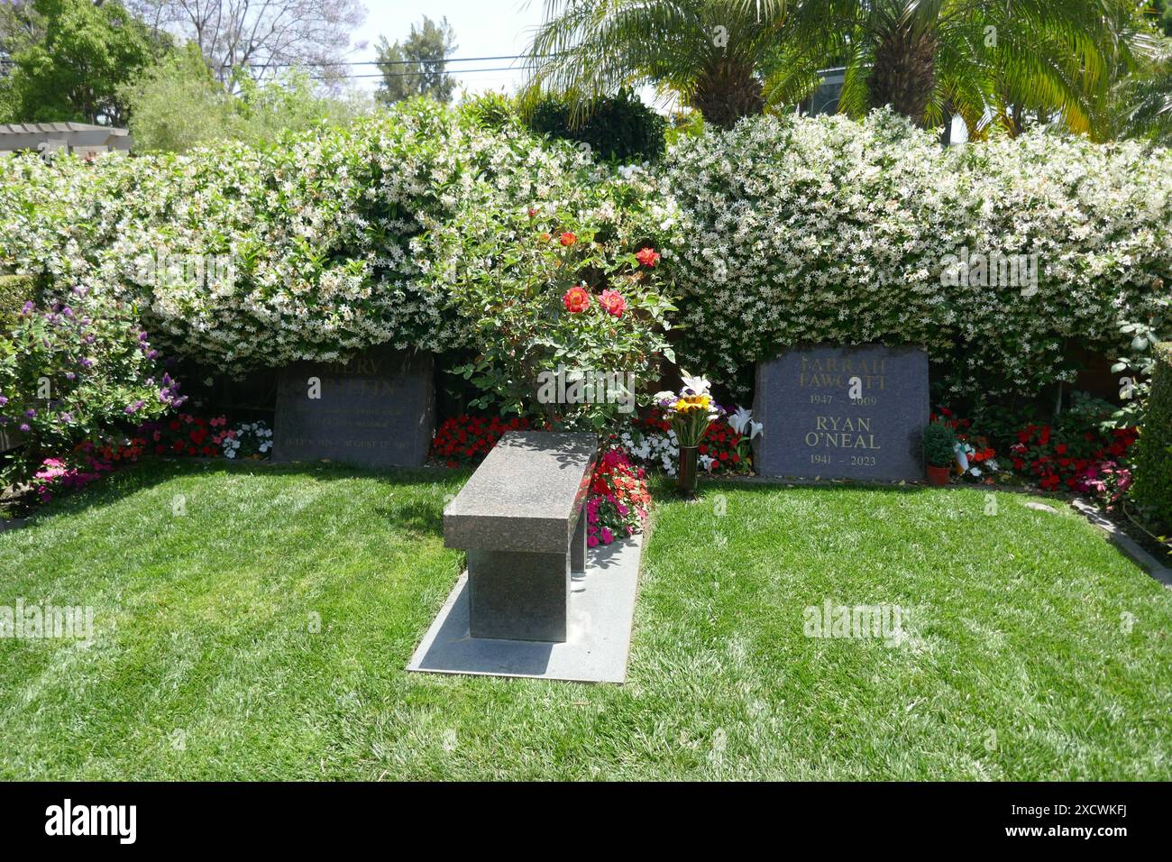 Los Angeles, California, USA 18 giugno 2024 l'attrice Farrah Fawcett e l'attore Ryan OÕNeal Graves al Pierce Brothers Westwood Village Memorial Park il 18 giugno 2024 a Los Angeles, California, USA. Foto di Barry King/Alamy Stock Photo Foto Stock