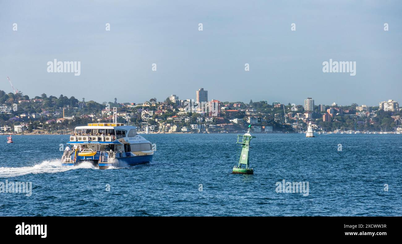 Manly Fast Ferry che passa per una boa d'acciaio a dritta nel Middle Harbour con vista sul sobborgo di Vaucluse, Sydney Harbour, New South Wales, Foto Stock