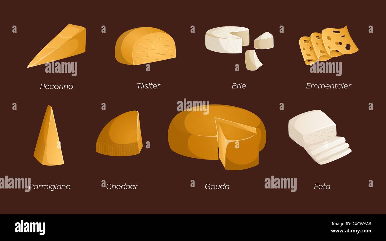 Set di diversi tipi di formaggi. Illustrazione vettoriale con testo. Ideale per poster e banner, menu di caffetterie e negozi Illustrazione Vettoriale