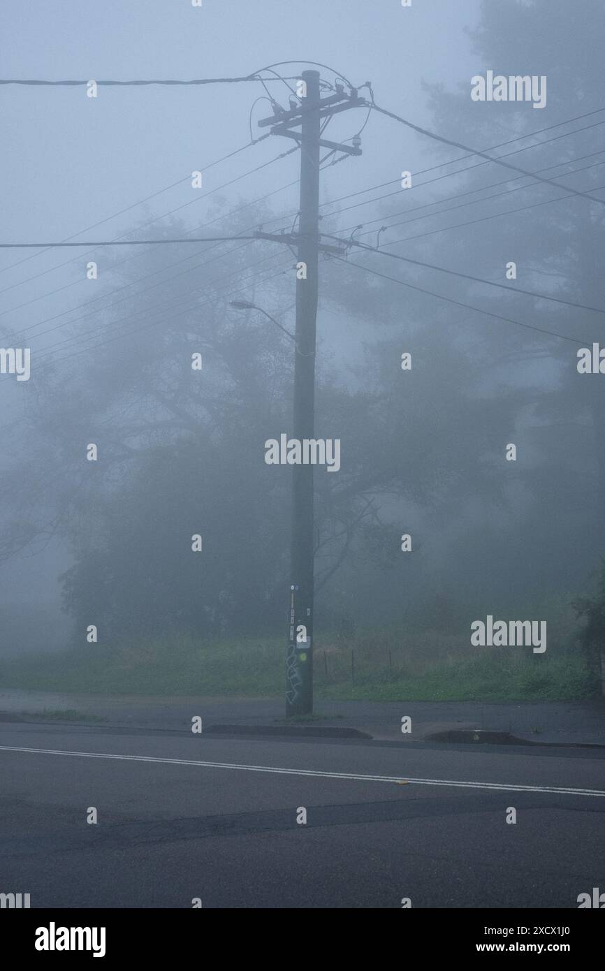 Un singolo palo in legno incrociato con linee elettriche avvolte dalla nebbia profonda su una strada suburbana sullo sfondo di alberi fantasma a Katoomba NSW Foto Stock