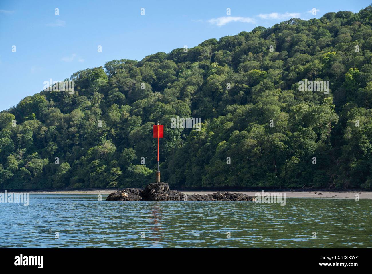 Un cartello sul fiume Dart per avvisare la gente di fare attenzione Foto Stock