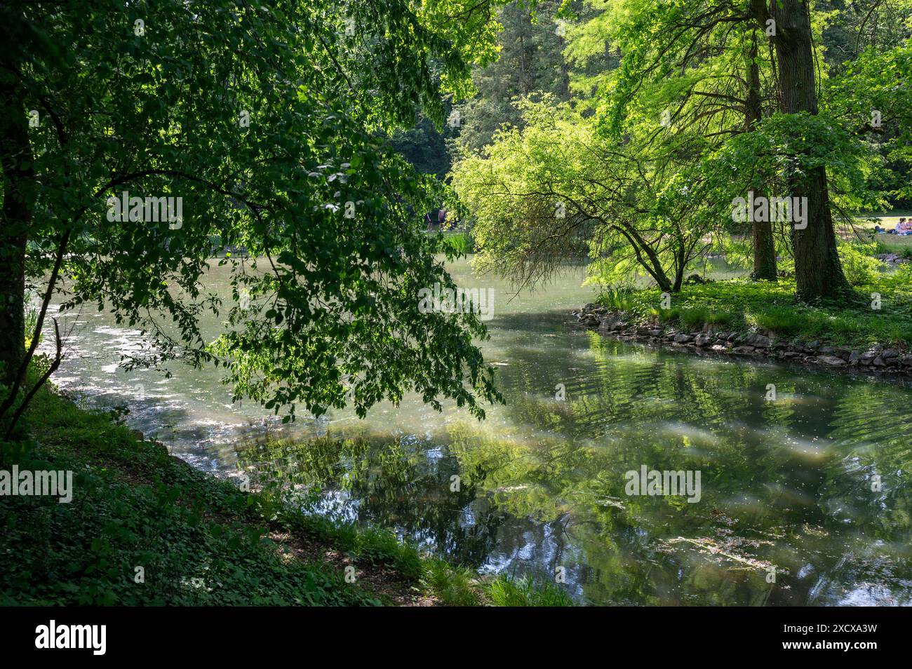 Piccolo lago in un parco, in un paesaggio verde con alberi Foto Stock