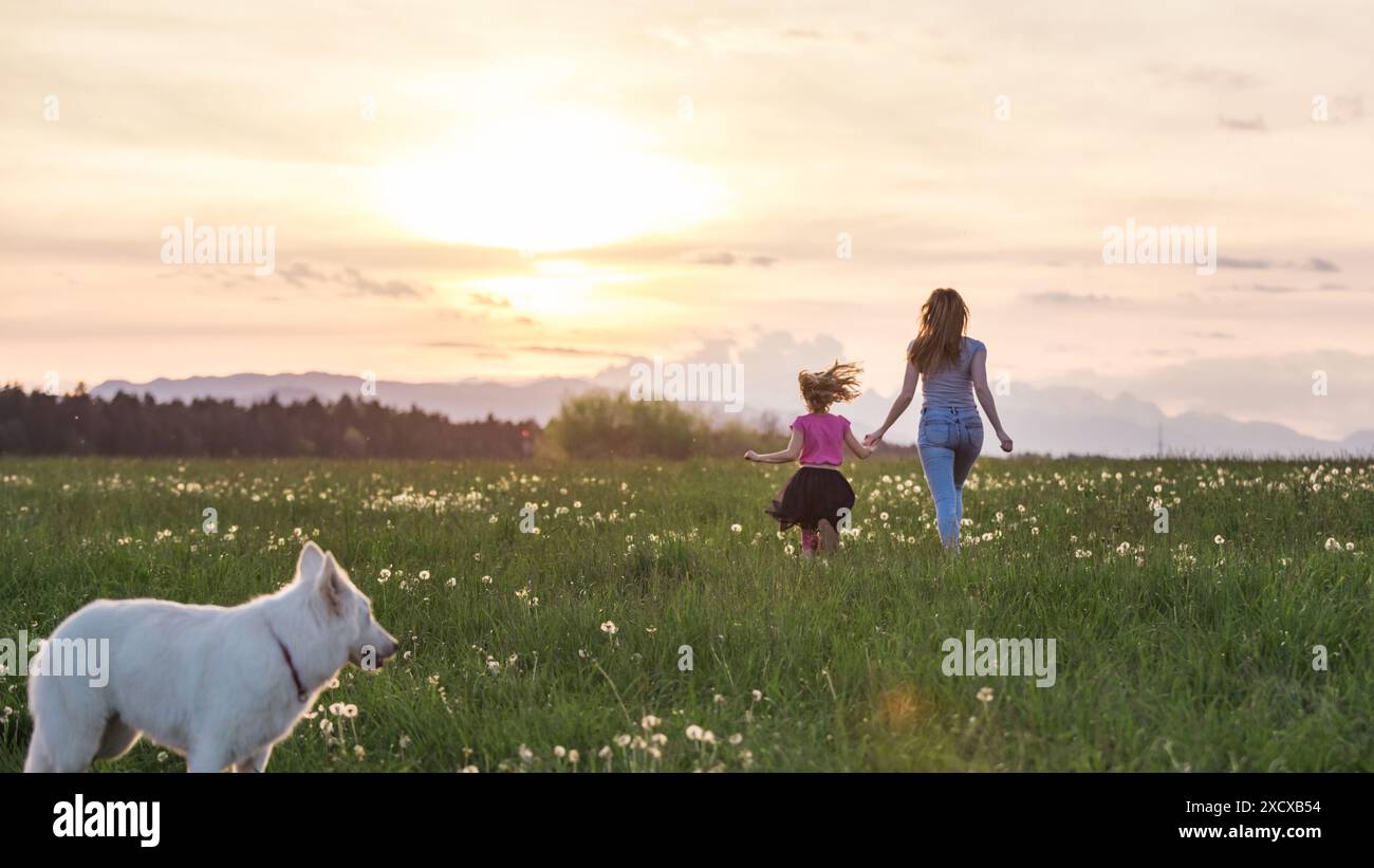 Scena idilliaca di madre, figlia e cane da compagnia che corrono felicemente nel campo erboso pieno di libellule. Concetto di significato della vita. Foto Stock