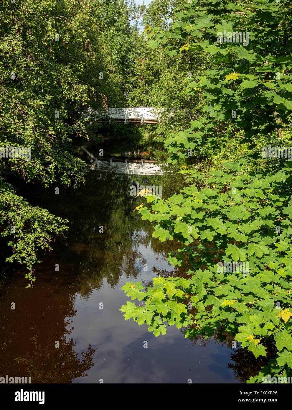 Parco cittadino di Hupisaaret a Oulu, Finlandia Foto Stock