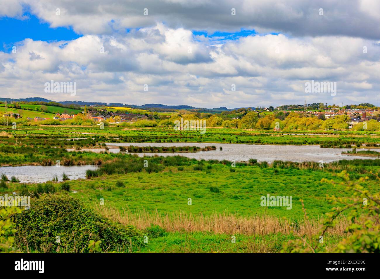 Guardando attraverso la riserva naturale di Exminster Marshes sulle rive del fiume exe, Devon, Inghilterra, Regno Unito Foto Stock