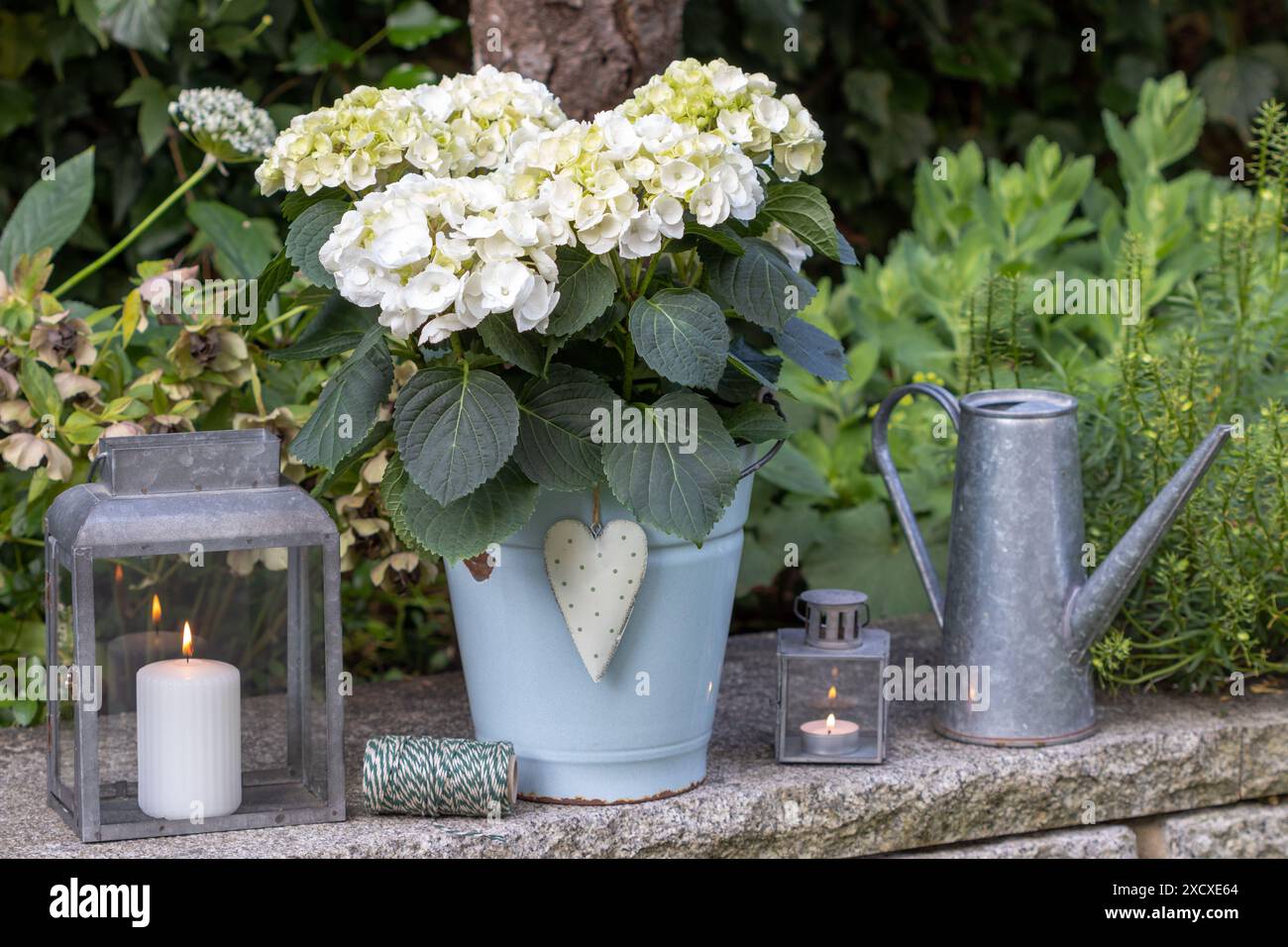 sistemazione in giardino con ortensia bianca macrophylla in secchio di smalto vintage e lanterne di zinco Foto Stock