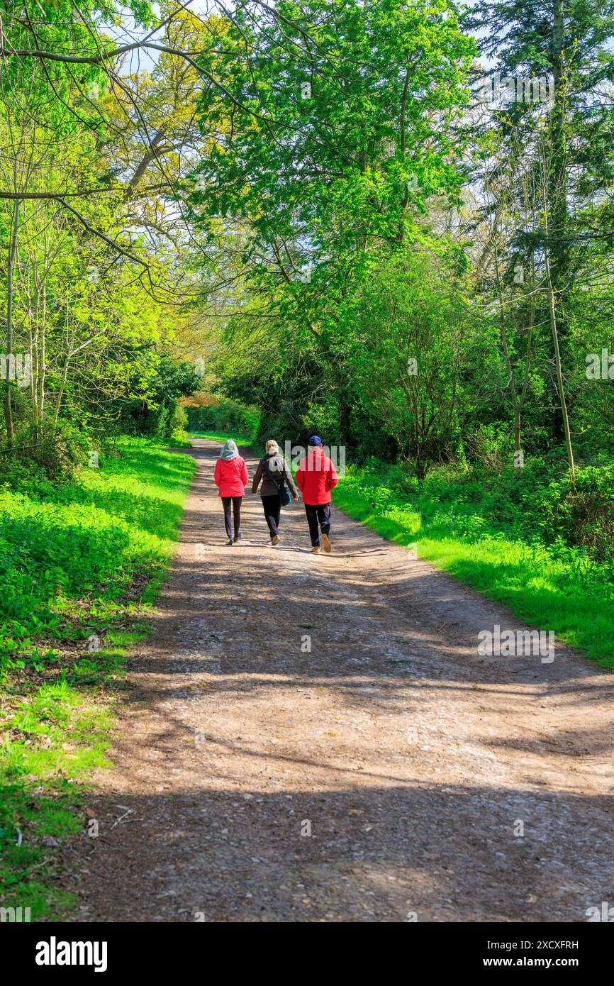 Tre visitatori che camminano sotto il sole appannato su un sentiero boscoso al castello di Powderham, casa dei conti del Devon a Kenton, vicino a Exeter, Devon, Inghilterra, Regno Unito Foto Stock