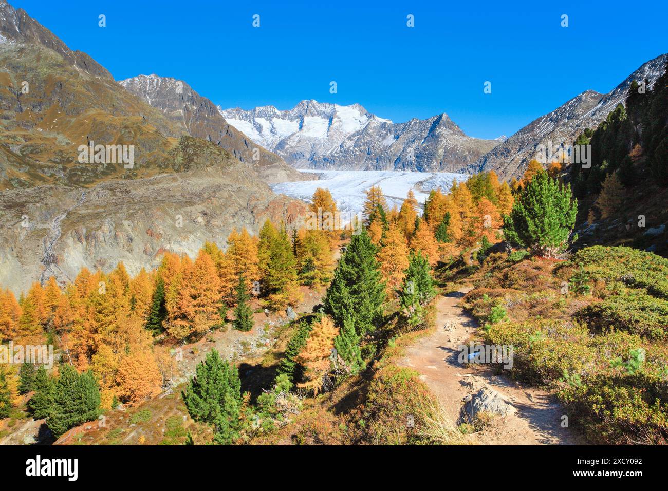 Geografia / viaggi, Svizzera, grande ghiacciaio dell'Aletsch e Wannenhoerner, Vallese, USO ESCLUSIVO NON PER CARTOLINE PIEGHEVOLI Foto Stock