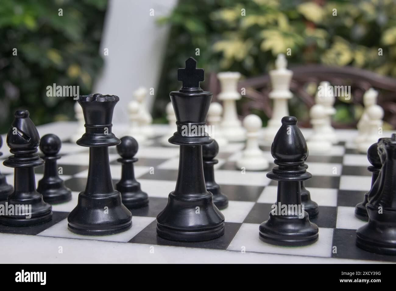Movimento di apertura su una scacchiera all'aperto, pedone bianco sullo sfondo, con particolare attenzione alla regina del vescovo nero e al fogliame reale sullo sfondo Foto Stock