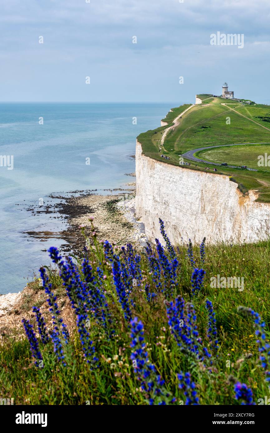 Faro di Belle Tout a Beachy Head vicino a Eastbourne, East Sussex, Inghilterra Foto Stock