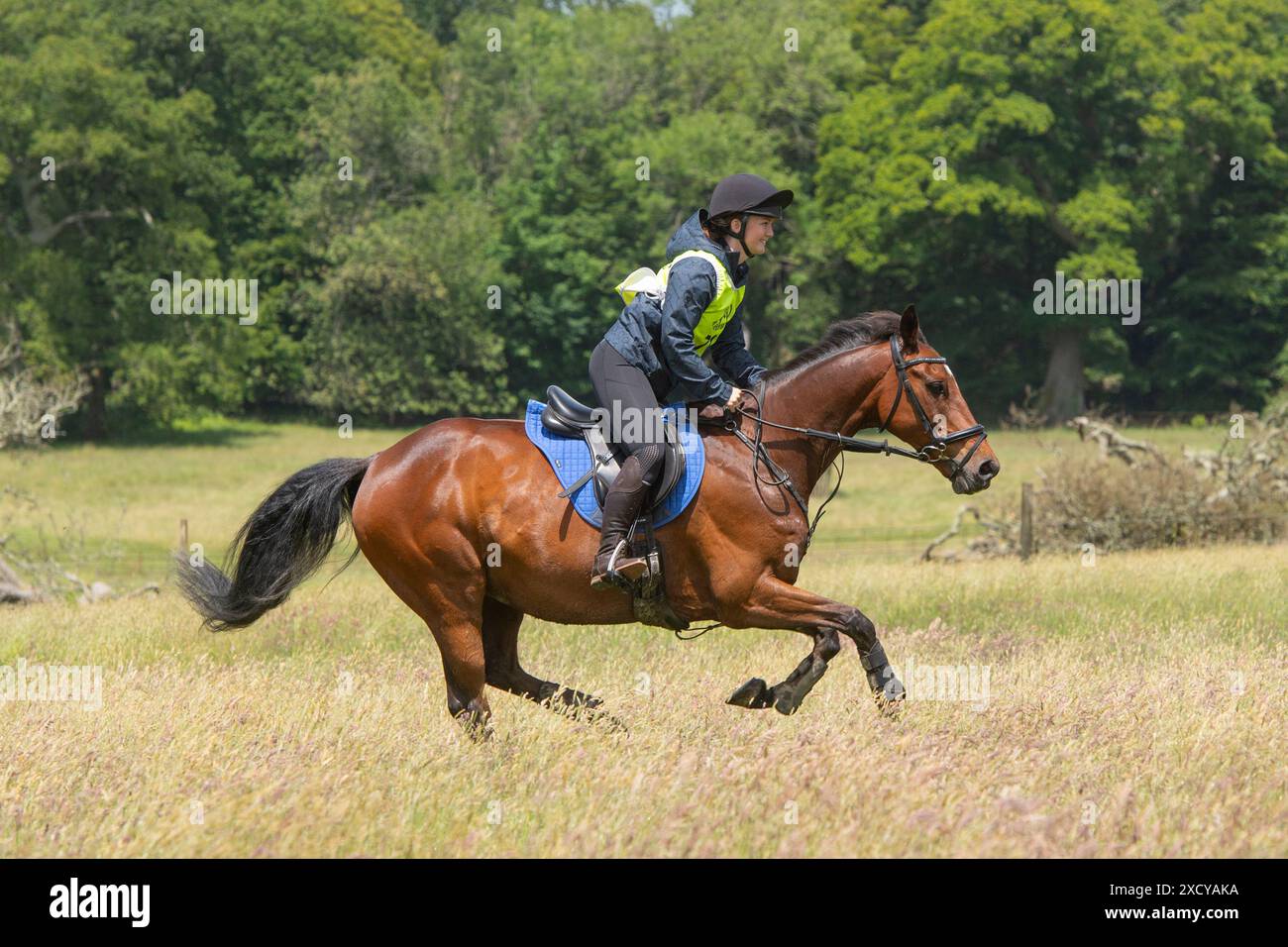 cavallo e cavaliere che gareggiano nella corsa dei cavalli di resistenza Foto Stock