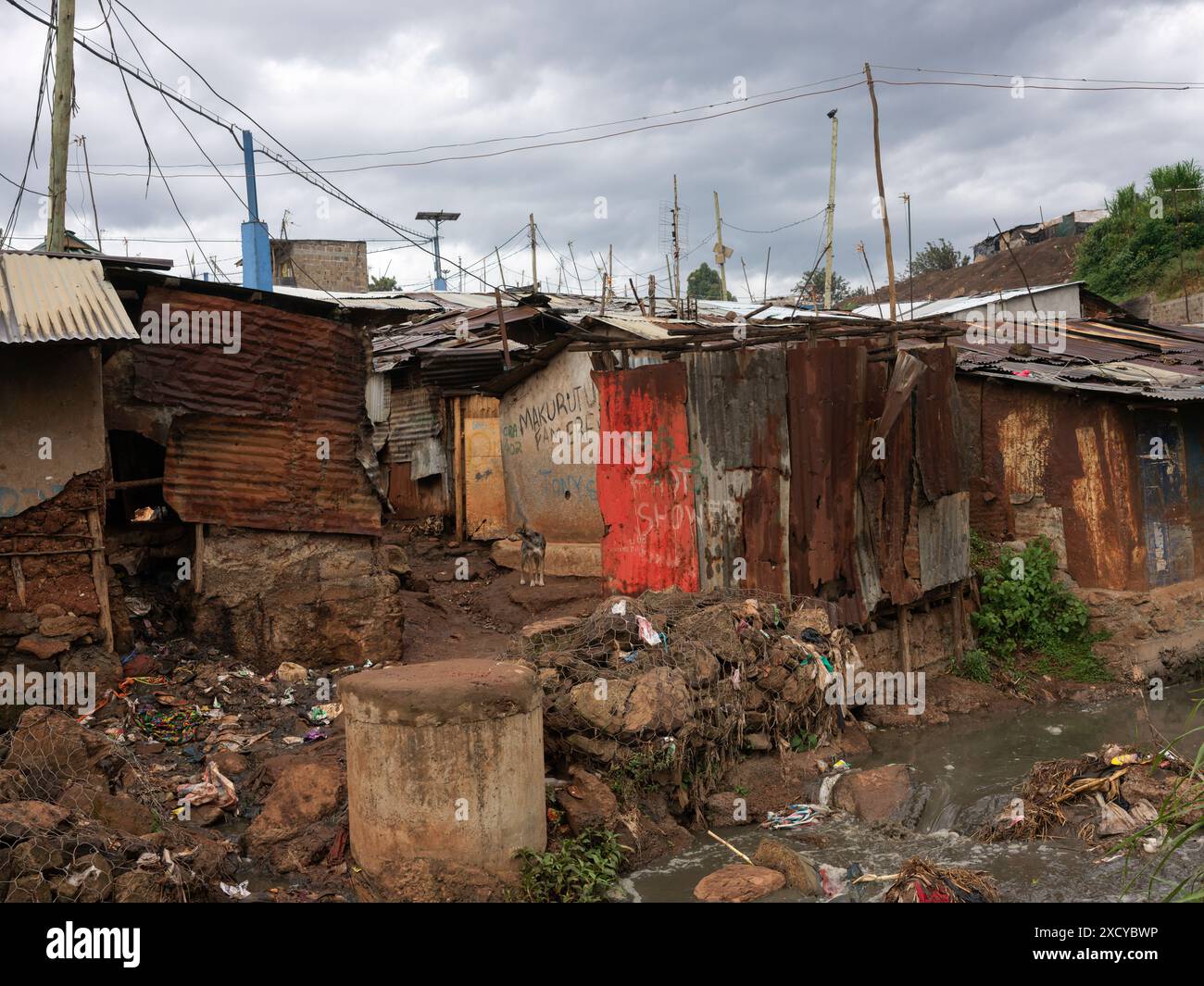 Case in metallo ondulato nella zona di Kibera, Nairobi, Kenya, lungo il fiume inquinato Foto Stock