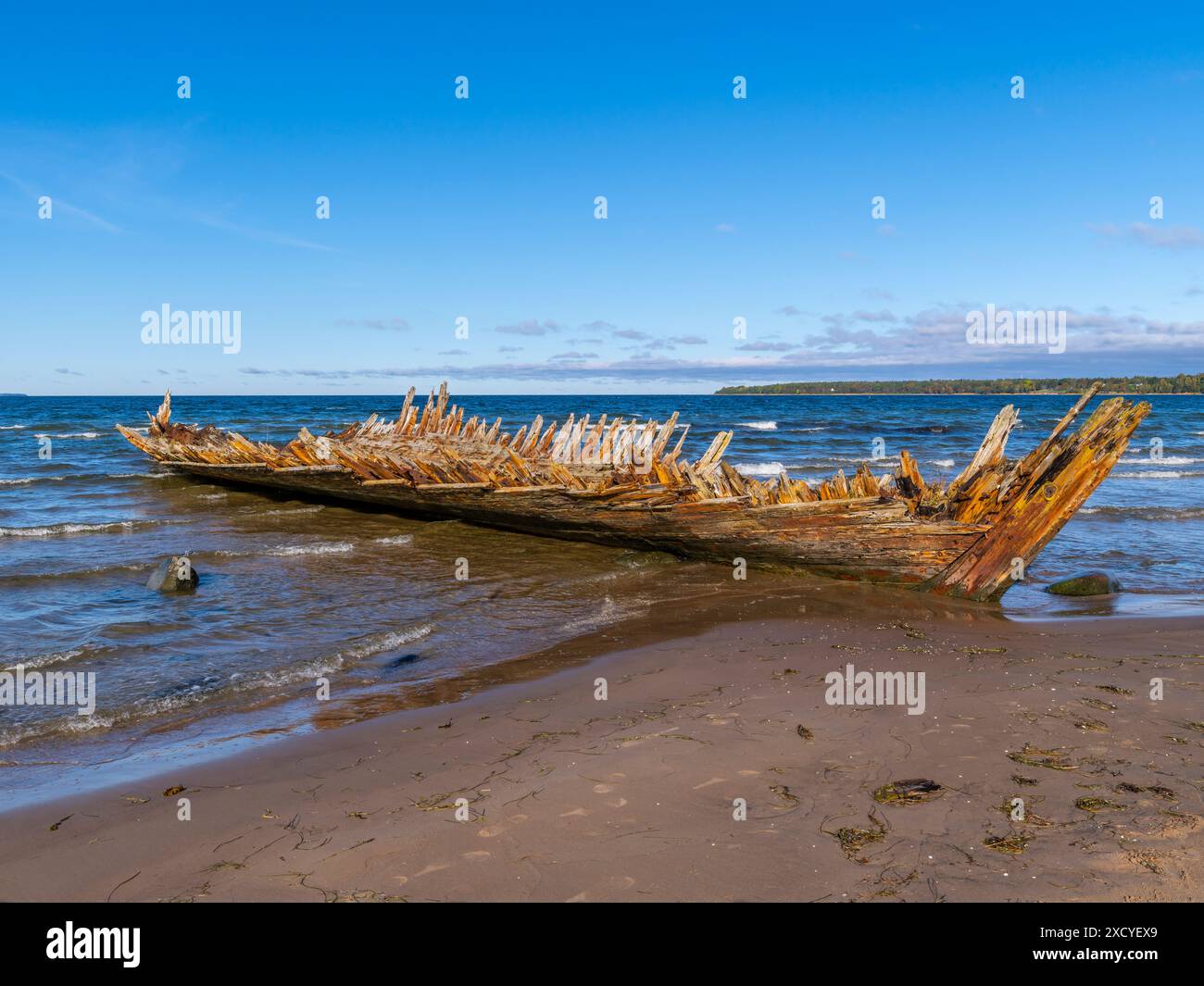 Vecchio naufragio nel Golfo di Finlandia, Estonia Foto Stock
