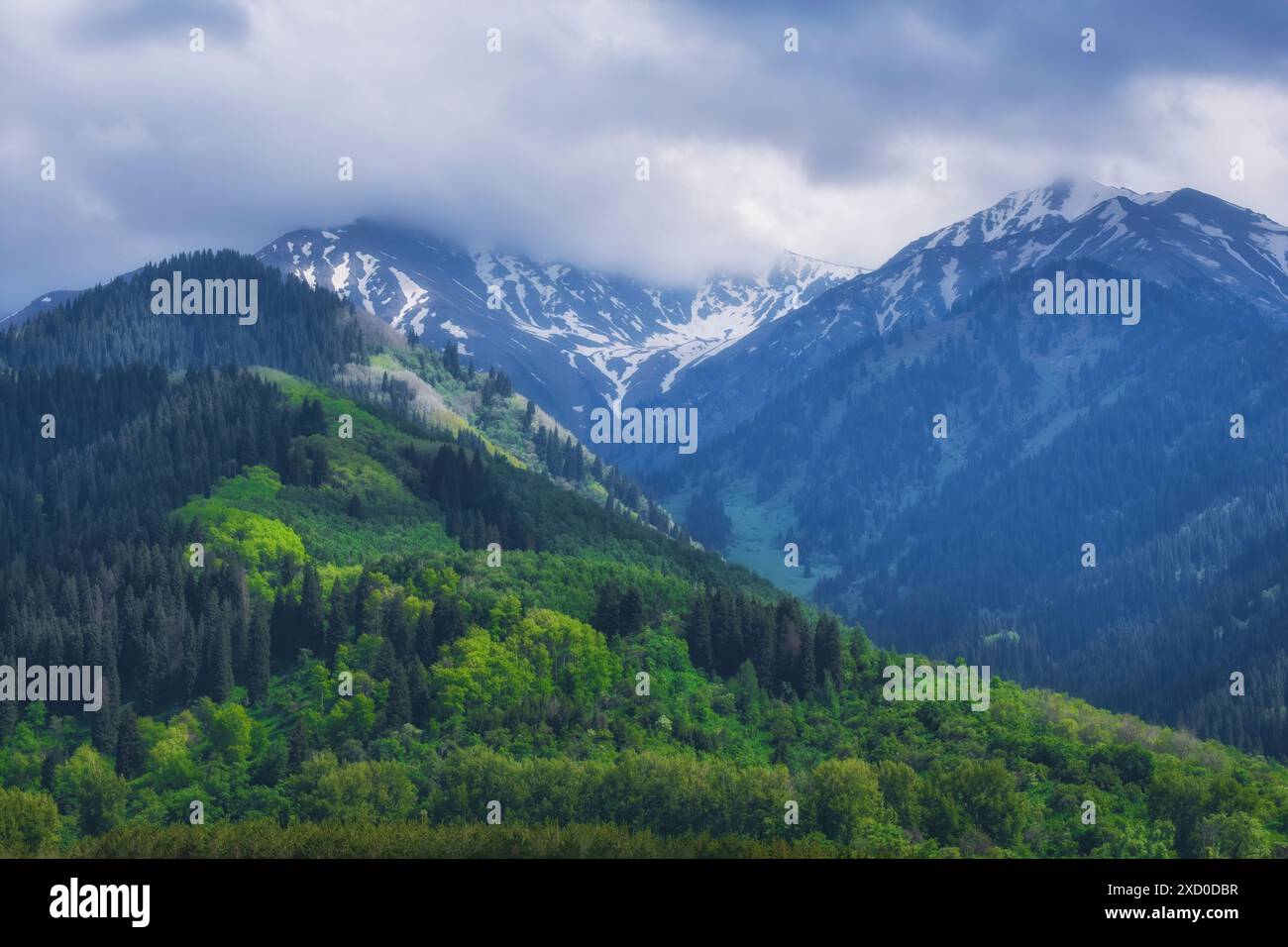 Panorama delle montagne primaverili ricoperte di foresta con vegetazione fresca e neve sulle cime. Soldiers Gorge ad Almaty, Kazakistan, nella bocca di Tien Shan Foto Stock