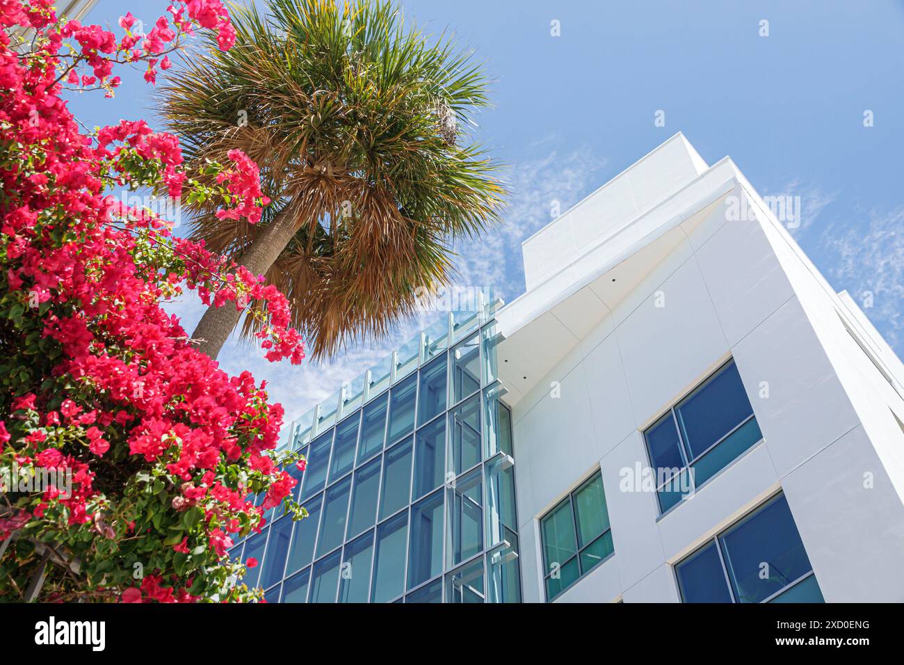 Miami Beach, Florida, centro New World Symphony NWS Center, architetto Frank Gehry, esterno, bouganville fiorite, i visitatori in viaggio Foto Stock