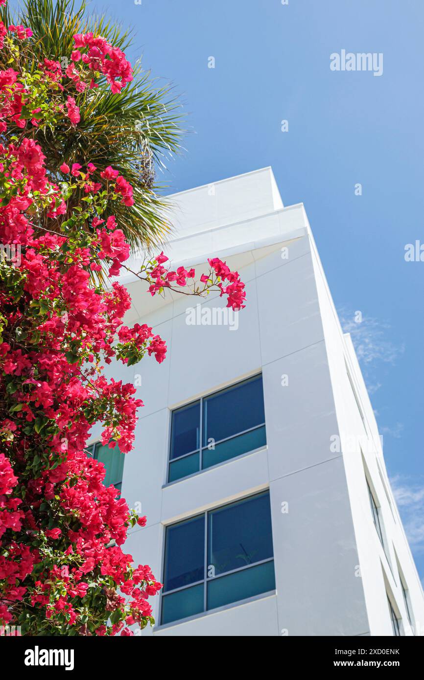 Miami Beach, Florida, centro New World Symphony NWS Center, architetto Frank Gehry, esterno, bouganville fiorite, i visitatori in viaggio Foto Stock