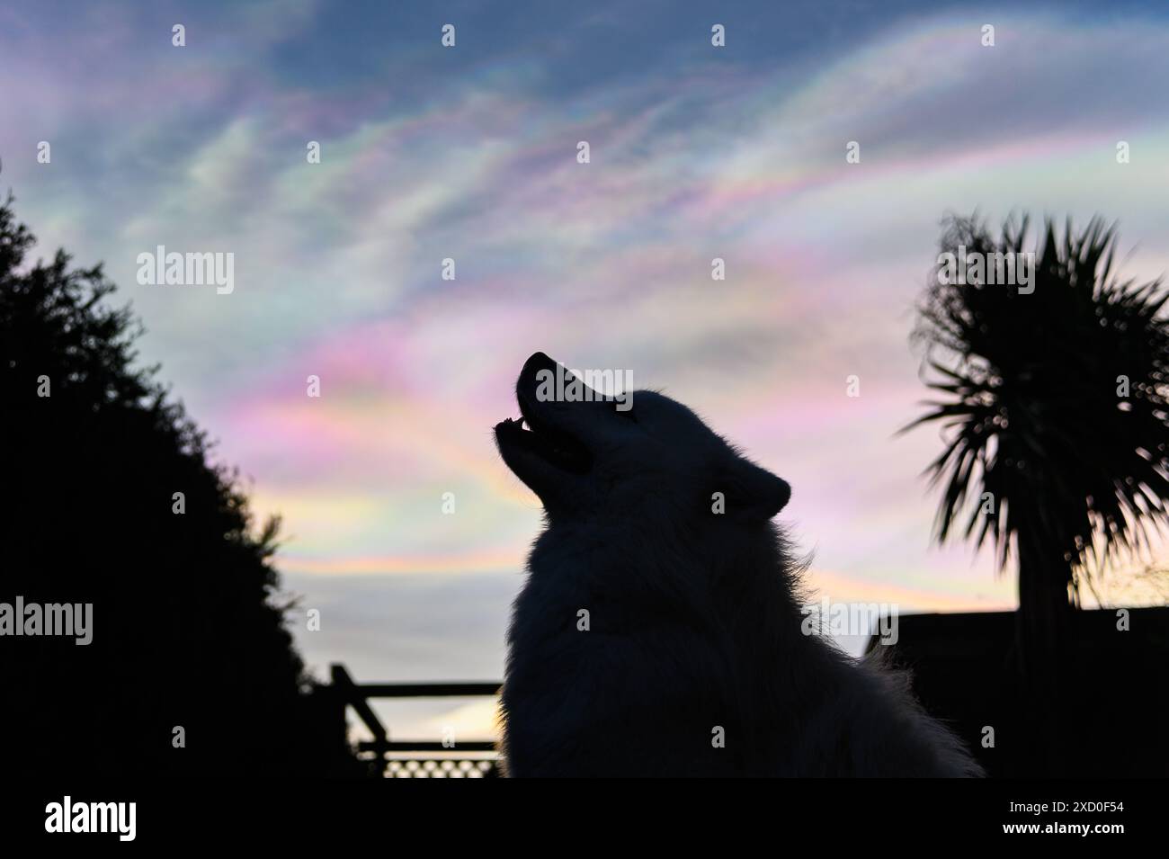Nuvole di Nacreo sopra Durham, Inghilterra, Regno Unito Foto Stock
