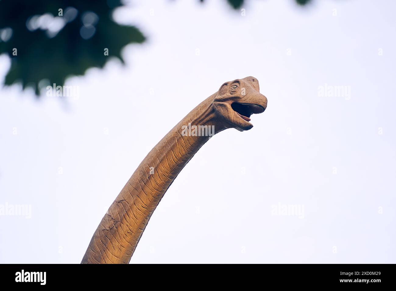 La testa di brachiosaurus era un dinosauro sauropode, uno dei più grandi e popolari. Visse alla fine del Giurassico. Con spazio per copiare. Foto di alta qualità Foto Stock