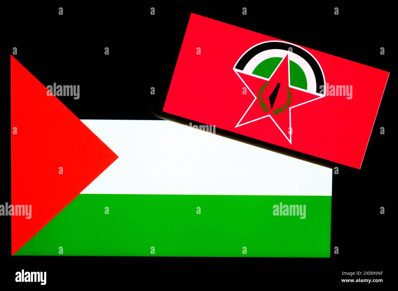 Ucraina - 19 giugno 2024: In questa foto illustrazione, il logo del fronte Democratico per la Liberazione della Palestina visto su uno smartphone e Palesti Foto Stock