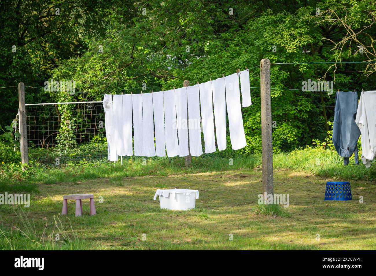 Lavanderia bianca in giardino. Asciugamani bianchi che si asciugano al sole. Foto Stock