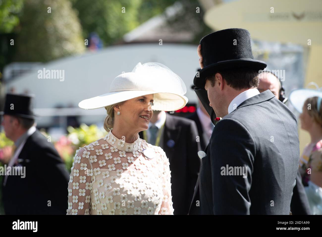 Ascot, Berkshire, Regno Unito. 19 giugno 2024. Sophie, la duchessa di Edimburgo partecipa al secondo giorno di Royal Ascot all'Ascot Racecourse nel Berkshire crediti: Maureen McLean/Alamy Live News Foto Stock