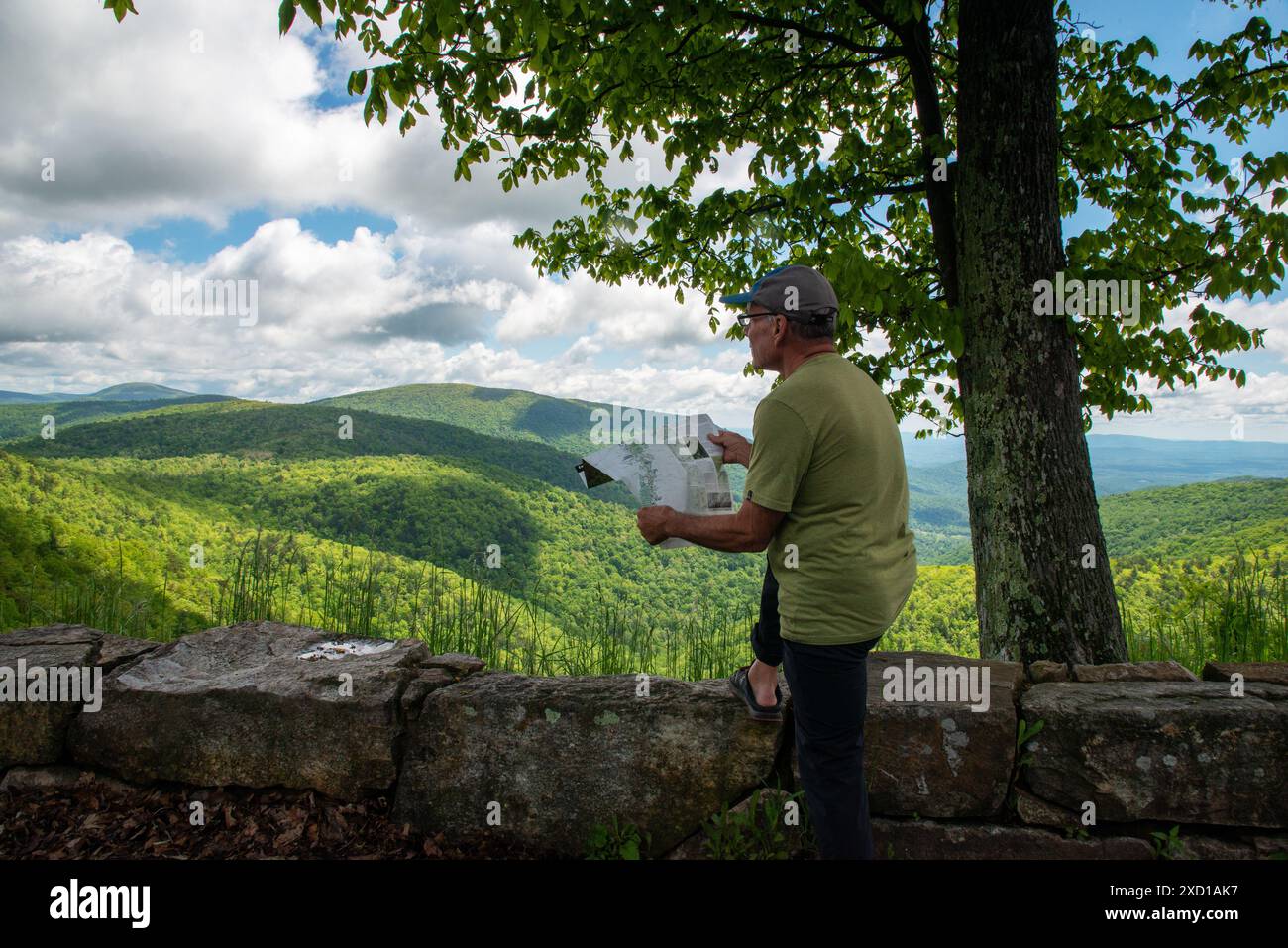 Maschio adulto singolo con vista sulla Blue Ridge Parkway, guardando una mappa della zona. Virginia. Foto Stock