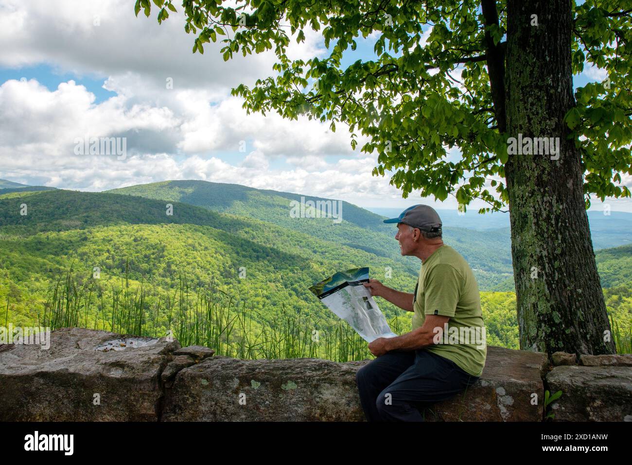 Maschio adulto singolo con vista sulla Blue Ridge Parkway, guardando una mappa della zona. Virginia. Foto Stock