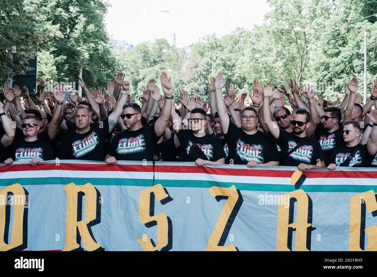 Stoccarda, Stoccarda. 19 giugno 2024. In una dimostrazione di unità e passione calcistica, i tifosi provenienti da Germania e Ungheria si sono riuniti a Stoccarda il 19 giugno 2024 per sostenere le loro squadre nella partita UEFA EURO 2024. Le bandiere tedesche e ungheresi erano tenute in alto mentre i fan di entrambi i lati cantavano e cantavano, creando una scena vivace e festosa. (Foto di Ralph Pache/PRESSCOV/Sipa USA) credito: SIPA USA/Alamy Live News Foto Stock