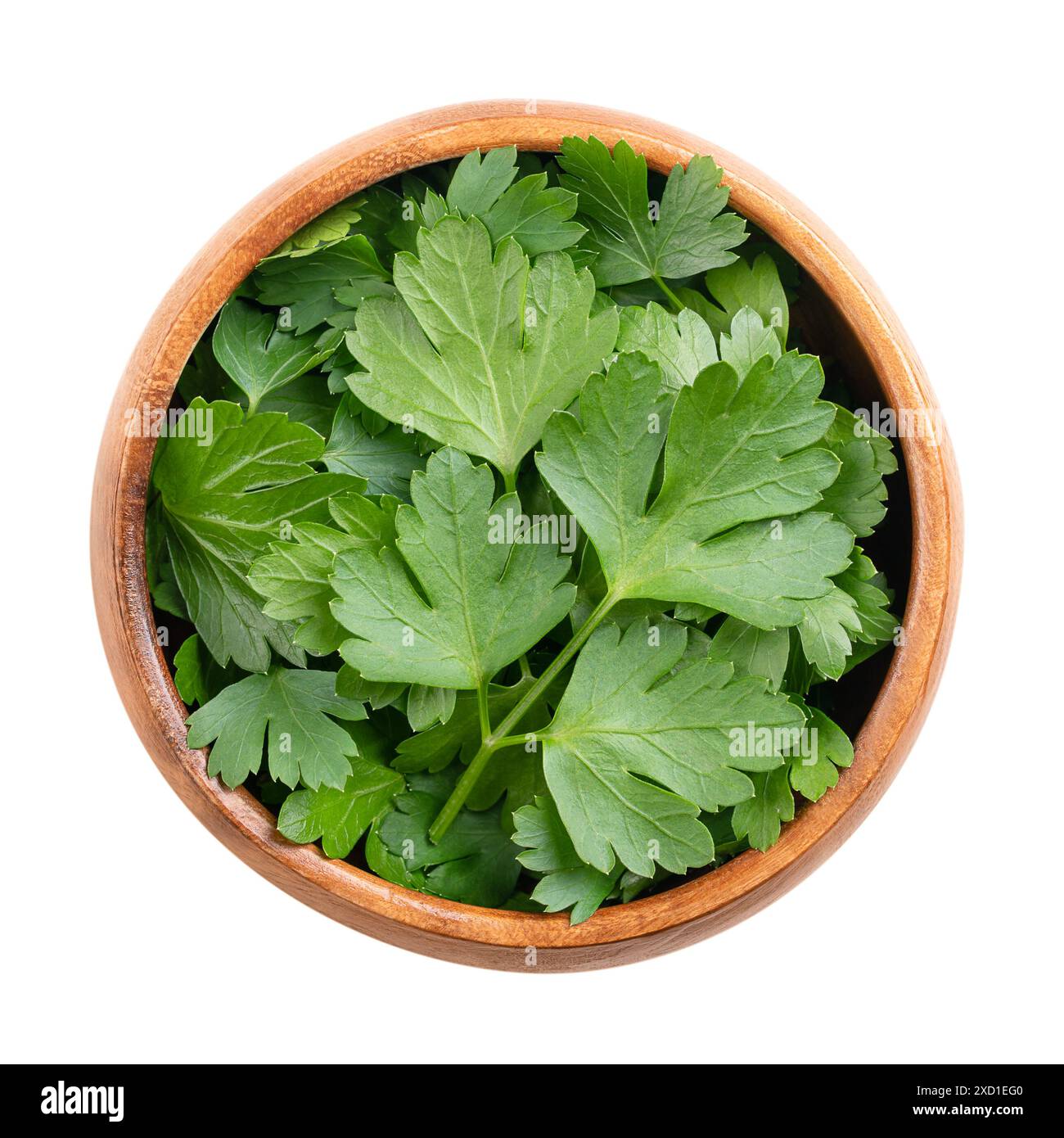 Prezzemolo fresco a foglia piatta in un recipiente di legno, dall'alto. Prezzemolo con verde brillante e foglie non stropicciate. Petroselinum crispum. Foto Stock