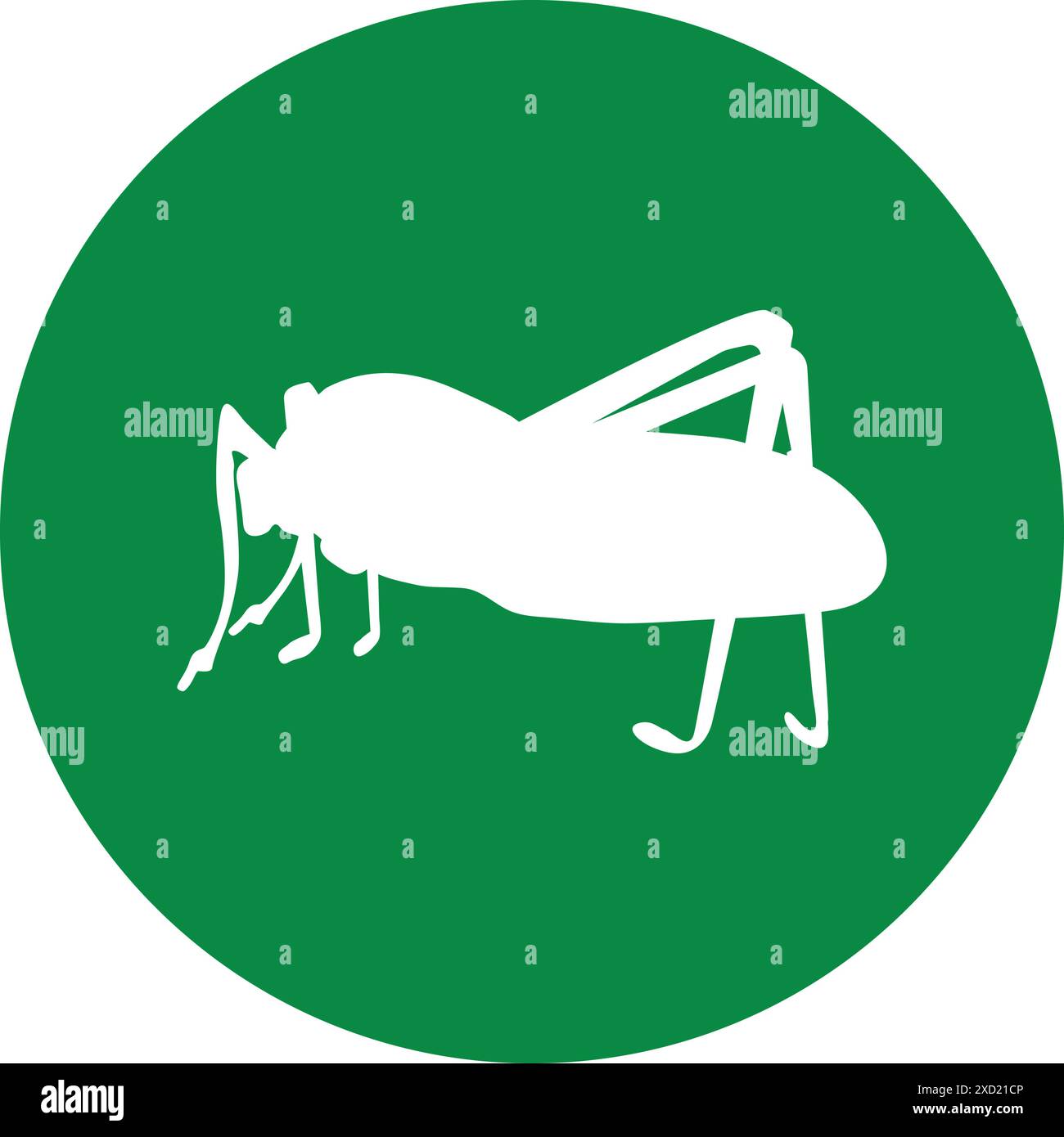 disegno illustrativo dell'icona della cavalletta katydid Illustrazione Vettoriale