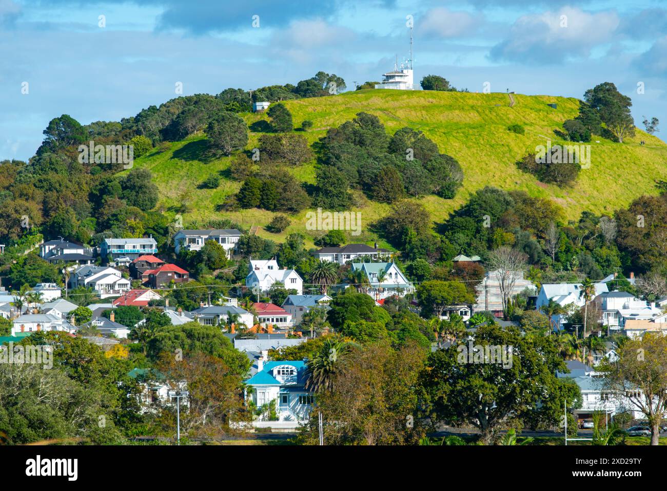 Case residenziali a Devonport - nuova Zelanda Foto Stock