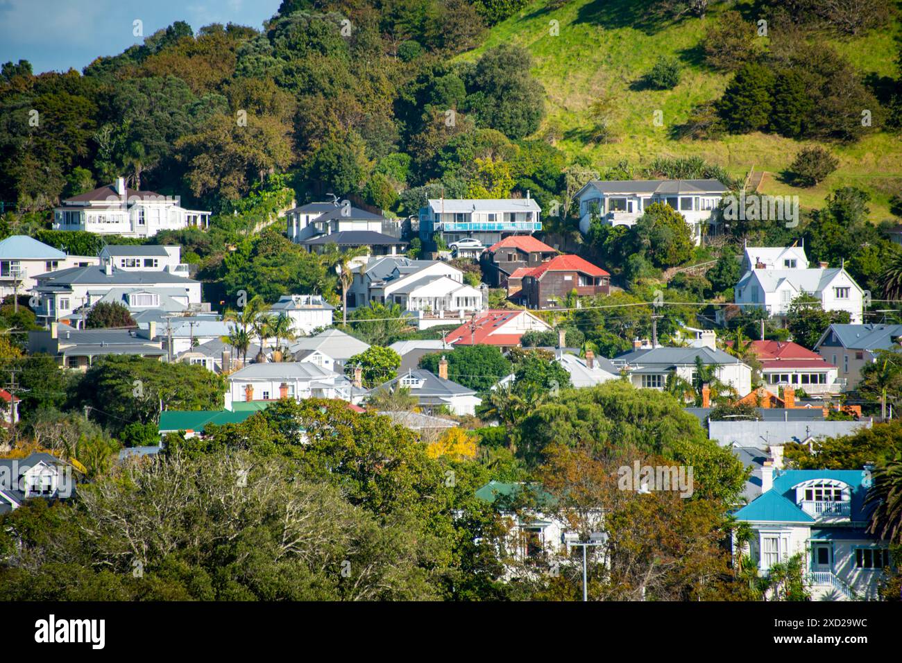Case residenziali a Devonport - nuova Zelanda Foto Stock