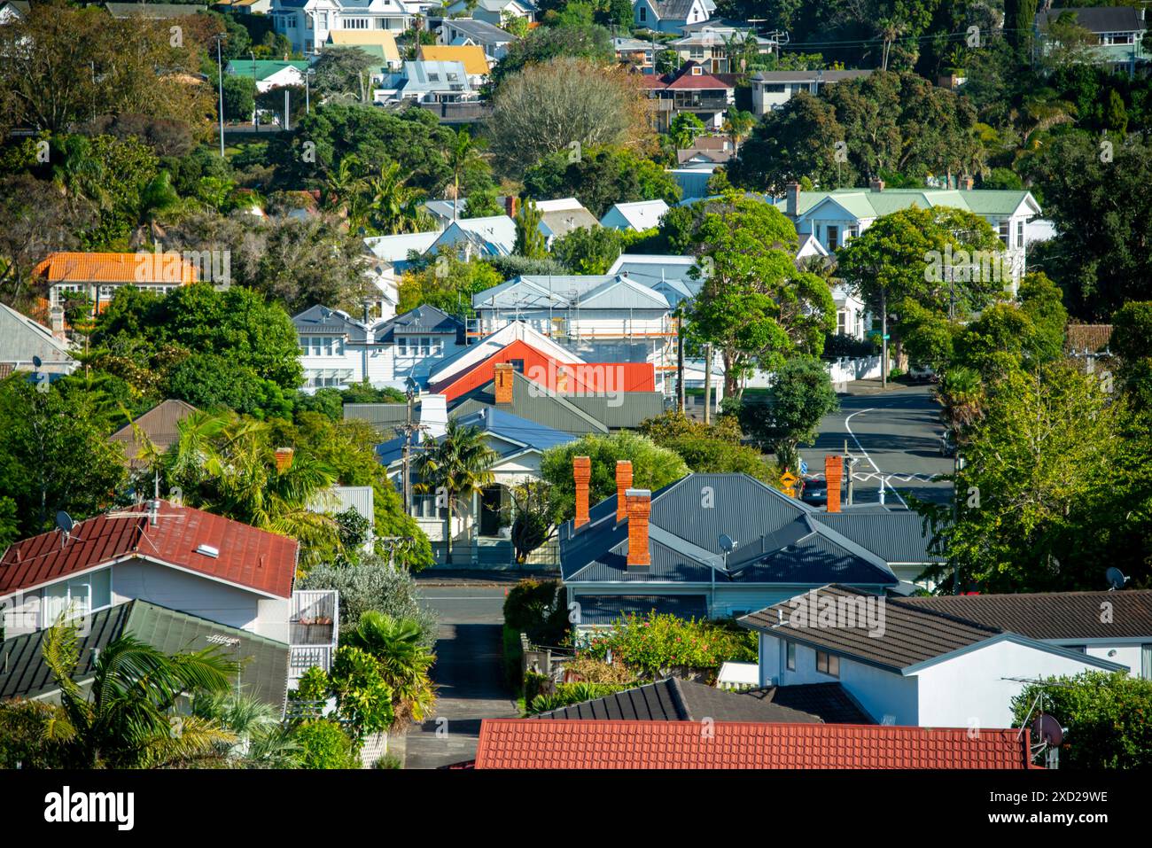 Case residenziali a Devonport - nuova Zelanda Foto Stock