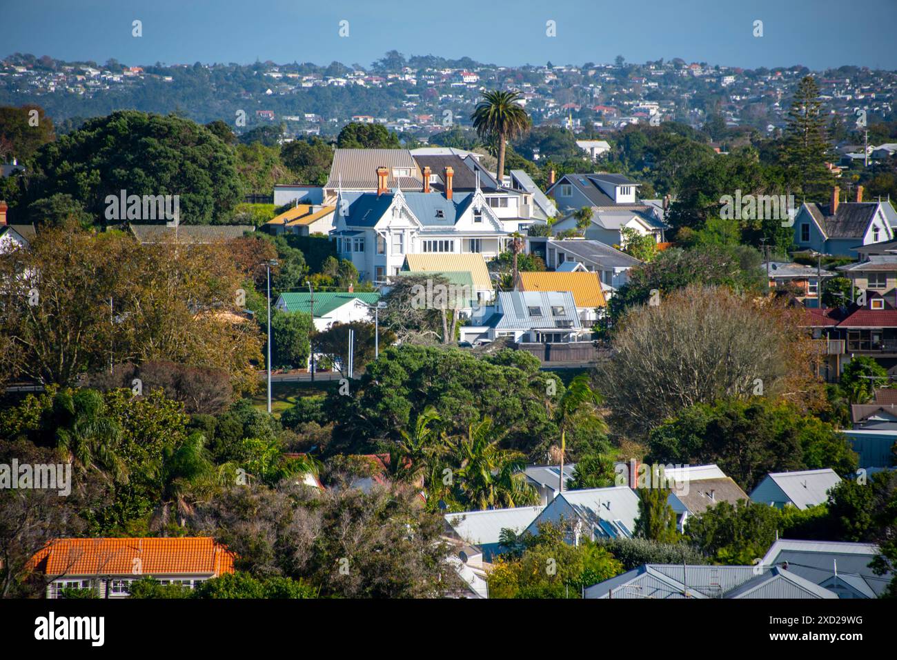 Case residenziali a Devonport - nuova Zelanda Foto Stock