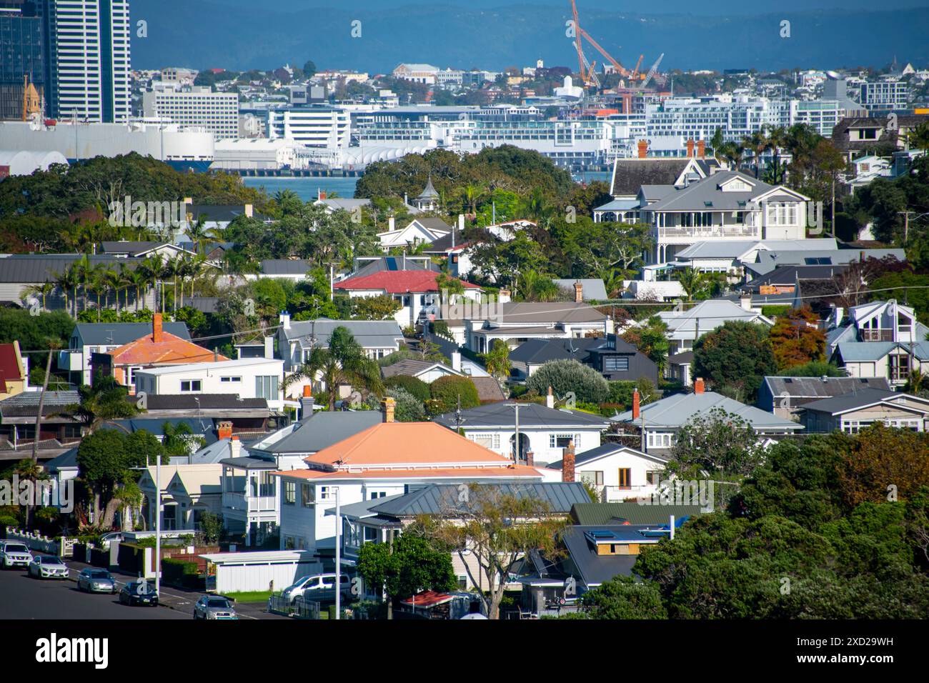 Case residenziali a Devonport - nuova Zelanda Foto Stock