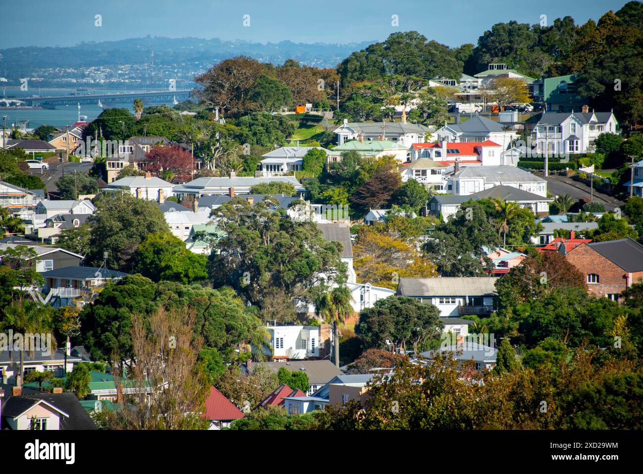 Case residenziali a Devonport - nuova Zelanda Foto Stock