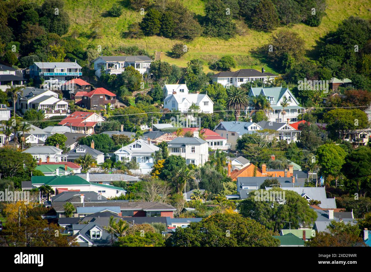 Case residenziali a Devonport - nuova Zelanda Foto Stock