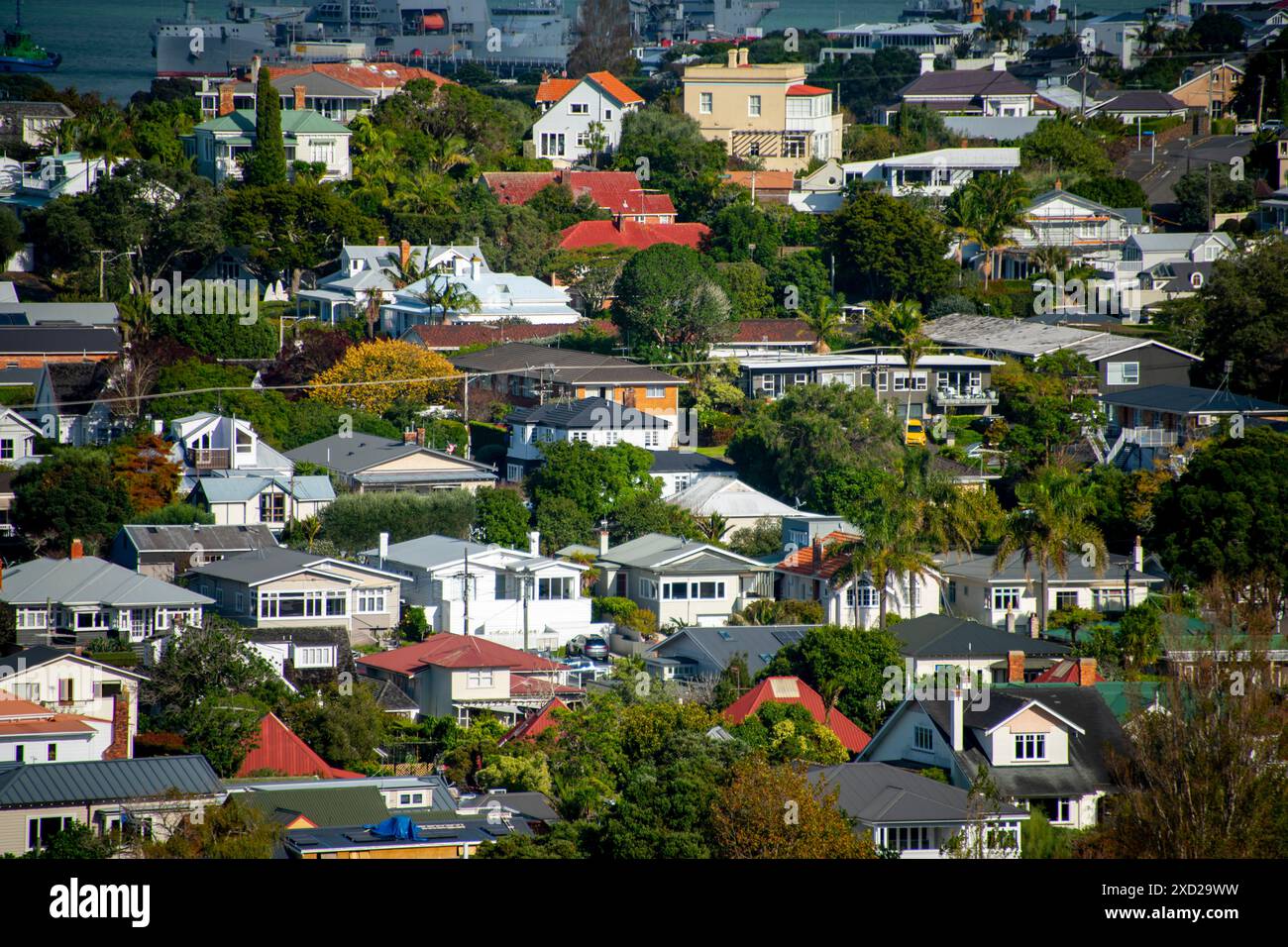 Case residenziali a Devonport - nuova Zelanda Foto Stock