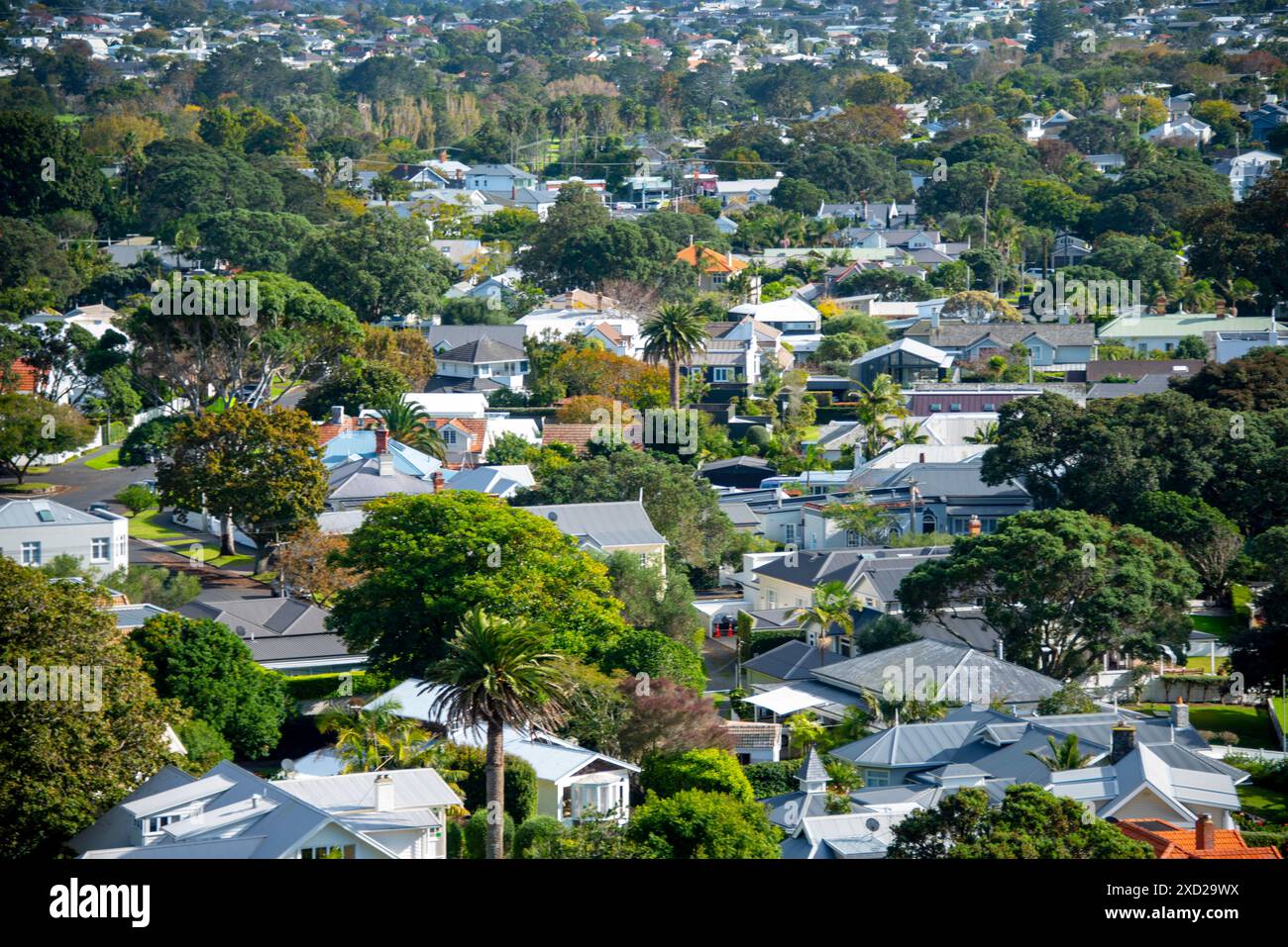 Case residenziali a Devonport - nuova Zelanda Foto Stock
