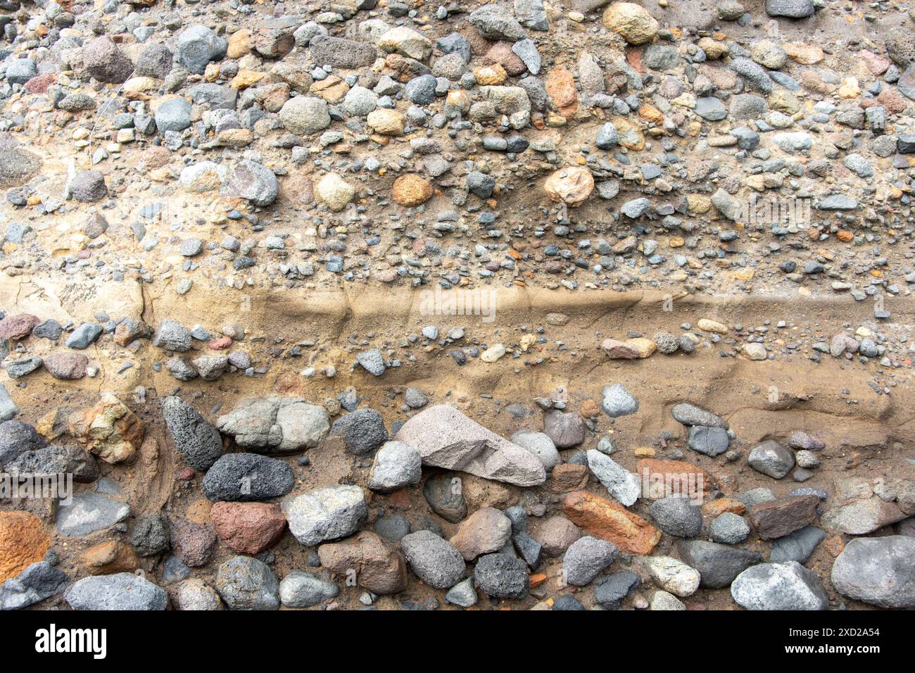 Conglomerato Rock Cliff - nuova Zelanda Foto Stock