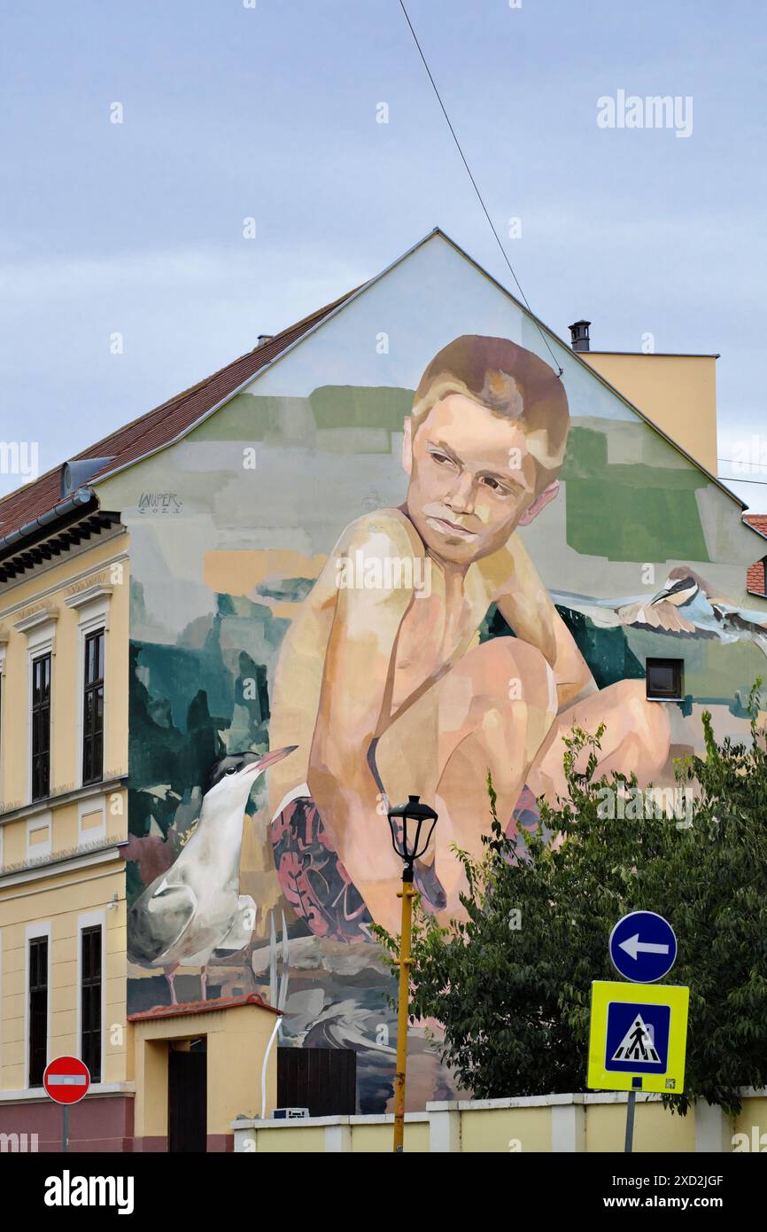 Murale di strada intitolato "Evropski Amazon" creato per la giornata dell'Amazzonia dell'Europa nell'anno 2021, in cui l'UNESCO ha dichiarato la riserva della Biosfera Mura-Drava-Dan Foto Stock